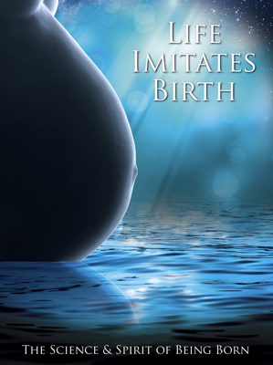 Life Imitates Birth